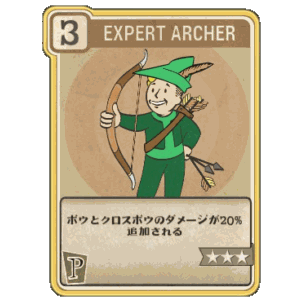 Expert Archer