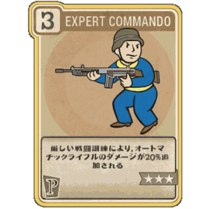 Expert Commando